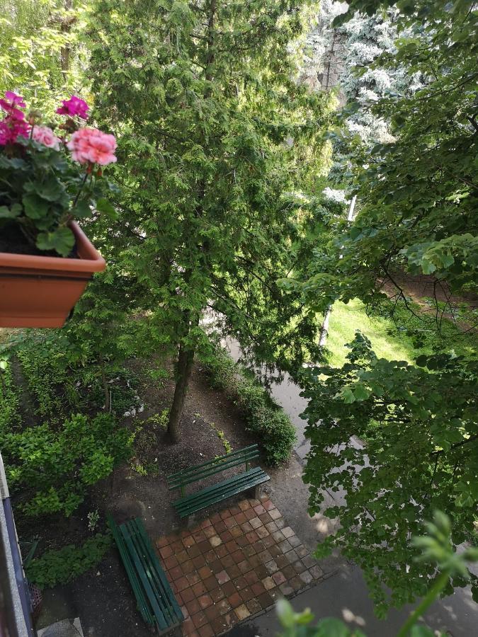 Natasa Apartman Orosháza المظهر الخارجي الصورة