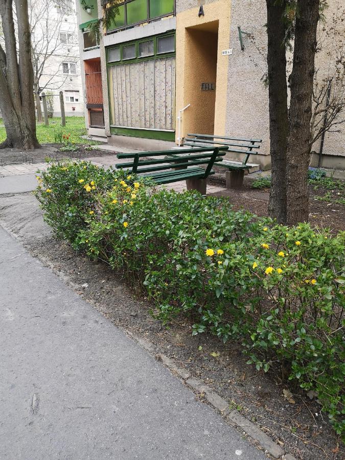 Natasa Apartman Orosháza المظهر الخارجي الصورة