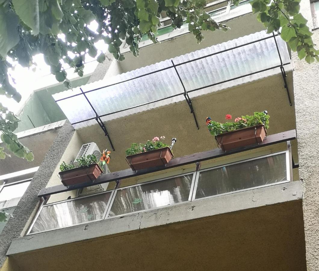 Natasa Apartman Orosháza المظهر الخارجي الصورة